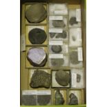 A selection of fossilized corals, all contained within labelled cases and boxes.Buyer’s Premium 29.