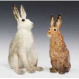 Two Winstanley pottery hares, comprising a brown hare and an Arctic hare, each with glass eyes,
