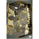 A selection of fossilized plant and other specimens, including ferns, leaves and graptolites.Buyer’s