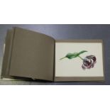 EPHEMERA. A collection of ephemera, including an album of mounted watercolours depicting flowers,