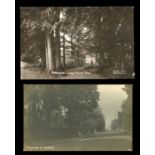 A collection of 18 postcards of Sussex, including photographic postcards titled 'Warninglid', 'The