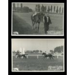 A collection of 43 photographic postcards of horse racing interest, the majority relating to races