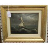 British School - Sailing Vessel in Rough Seas, late 19th/early 20th century oil on panel, 17.5cm x