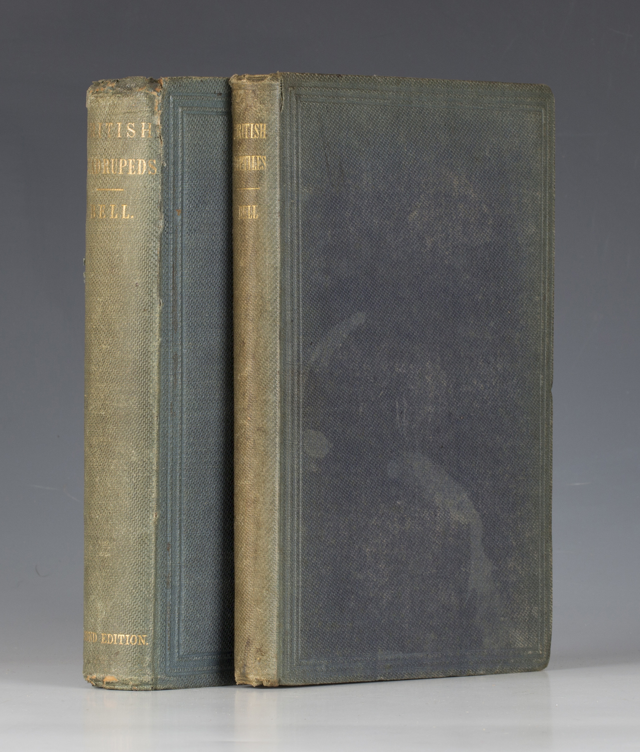 BELL, Thomas. A History of British Quadrupeds, including the Cetacea. London: John van Voorst, 1874.