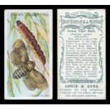 A collection of cigarette and trade cards in sixteen albums, most odds or part-sets, some