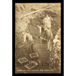 A photographic postcard titled 'Working the Dumps for Uranium', circa 1906, depicting four miners,