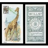 A collection of approximately 451 Wills and Players cigarette cards, all odds, many duplicates,