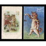 A collection of approximately 146 postcards featuring cats, mostly anthropomorphic, including 20