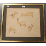 Diana E. Brown - 'Roe Doe' (Studies of Roe Deer), watercolour over pencil, signed and dated 1965