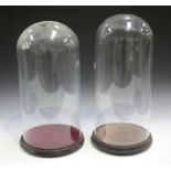 Two Victorian glass display domes, height 49cm, diameter 22.5cm, height 46cm, diameter 23cm, both on
