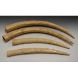 An early 20th century African fully-carved ivory tusk, worked in overall relief with a spiralling