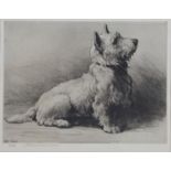 Herbert Dicksee - West Highland Terrier, etching, signed and editioned 65/150 in pencil, published