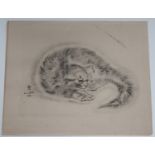 Léonard Tsuguharu Foujita - Study of a Cat, collotype on wove paper, published circa 1930, 25cm x