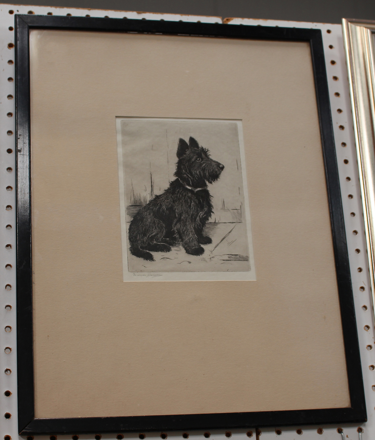 Marion Harvey - 'Where's my Leash?' (Scottish Terrier), early 20th century etching, signed in pencil