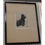 Marion Harvey - 'Where's my Leash?' (Scottish Terrier), early 20th century etching, signed in pencil