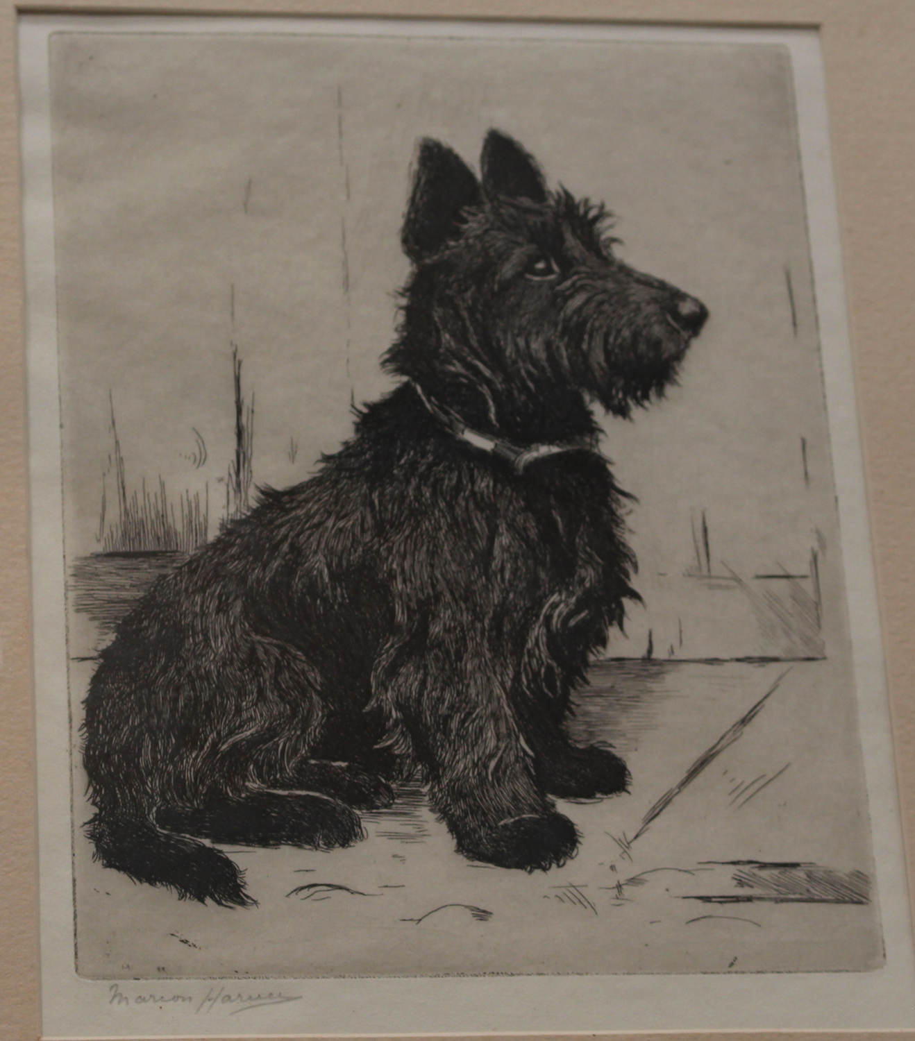 Marion Harvey - 'Where's my Leash?' (Scottish Terrier), early 20th century etching, signed in pencil - Image 3 of 3