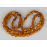 A single row necklace of sixty-two vari-coloured butterscotch semi-opaque and opaque oval amber