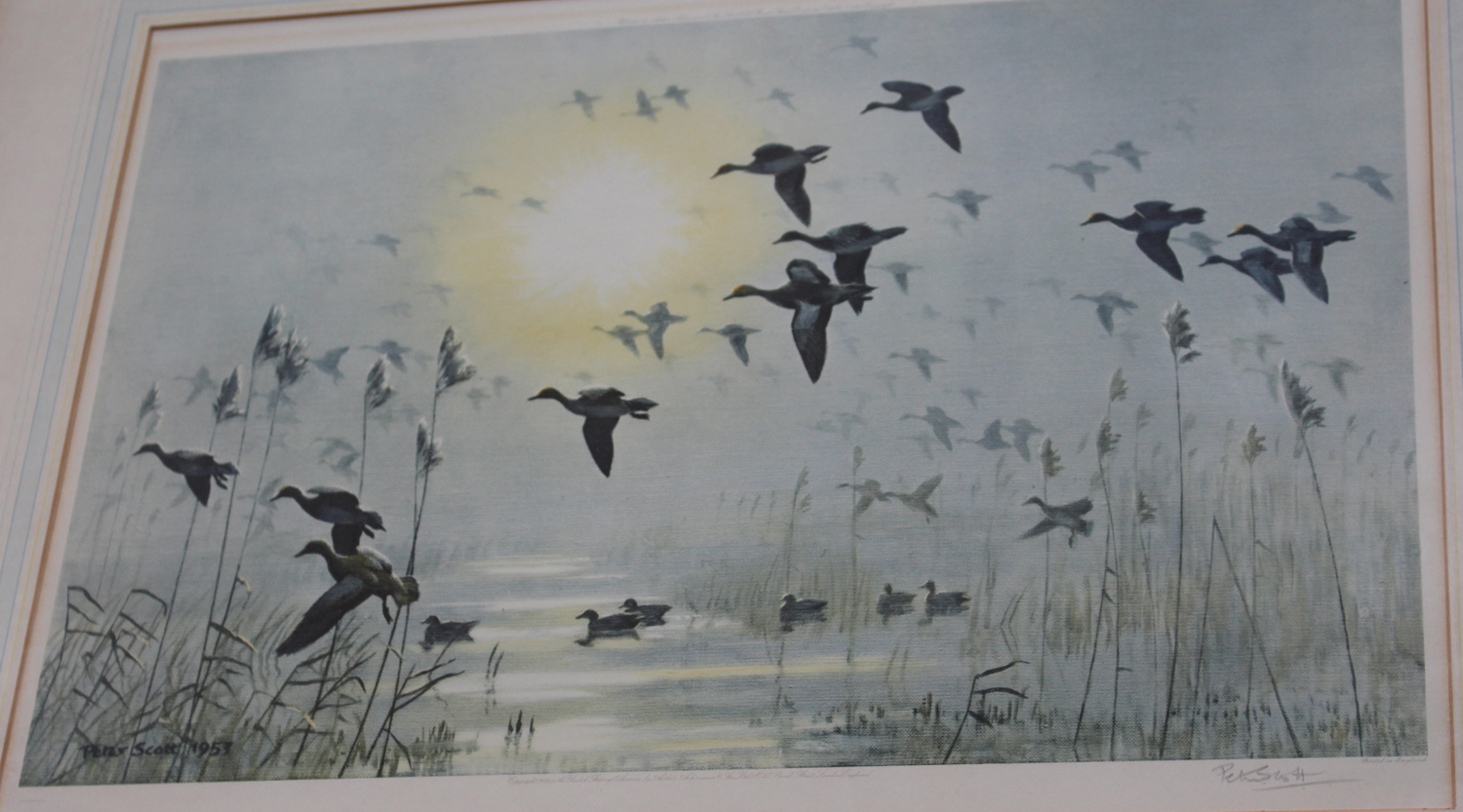 Peter Scott - 'The Wash at Dawn, Pinkfeet', colour print, signed in pencil recto, titled label - Image 5 of 10