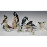 A mixed group of assorted bird models, 20th century, including a pair of Karl Ens kingfishers