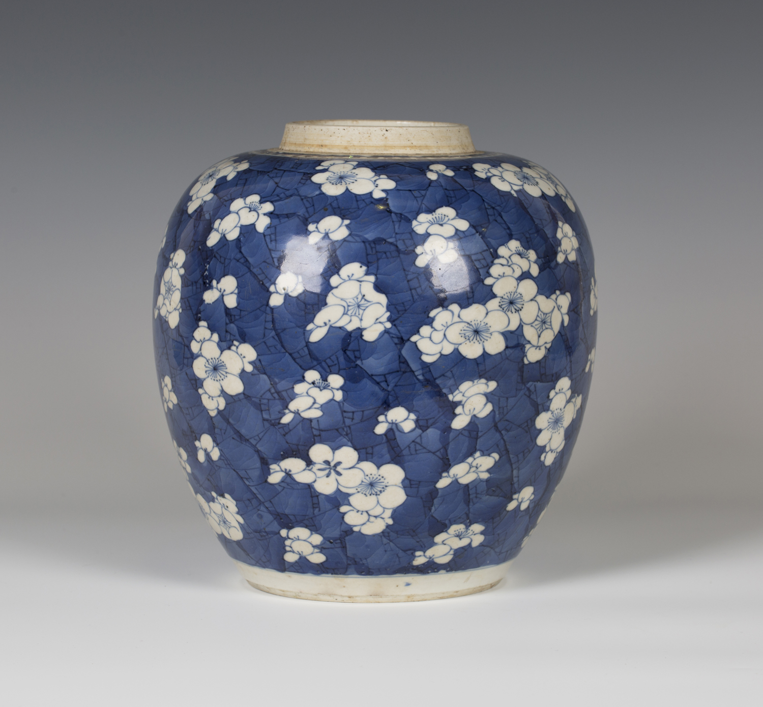 A Chinese blue and white porcelain ginger jar, Kangxi period, of ovoid form, painted with prunus