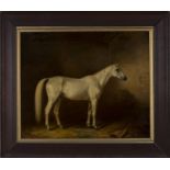 Circle of John Frederick Herring - Portrait of a Grey Horse within a Stable, 19th century oil on