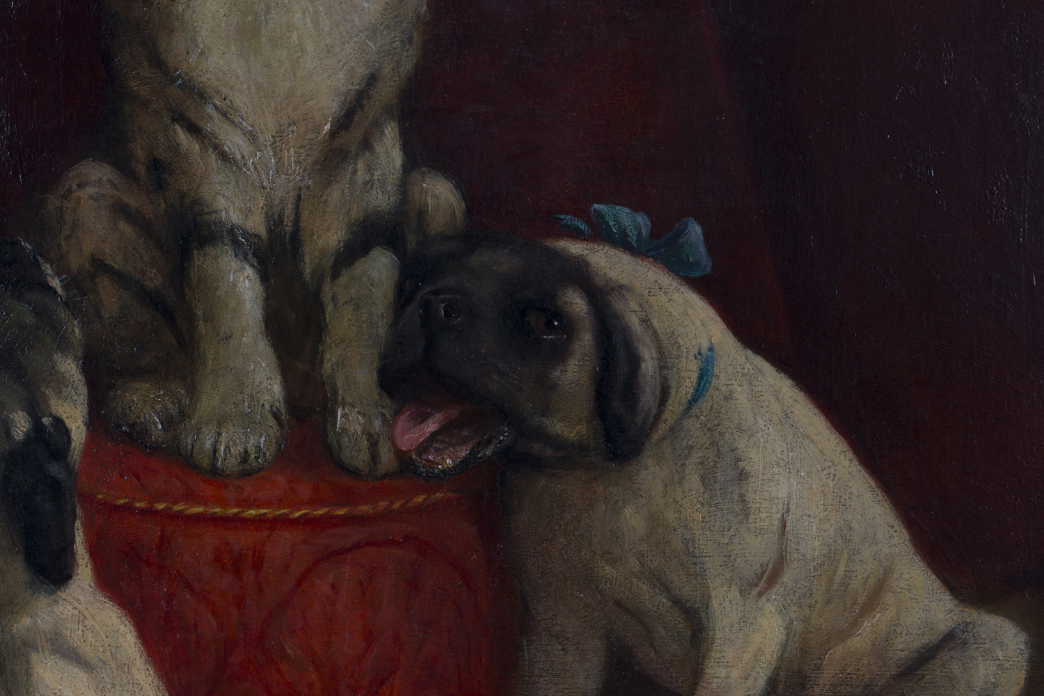 Frederick Thomas Daws - The Crescendo (Two Pug Dogs and a Cat), late 19th/early 20th century oil - Image 3 of 4