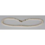 A single row necklace of graduated cultured pearls on a 9ct gold clasp, mounted with a row of