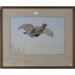 Frank Paton - Partridge in Flight, late 19th century watercolour, signed and dated 1896, 34cm x 48.