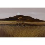 David Humphreys - 'Harvest Fields at Evening, Wiltshire', 20th century oil on board, signed recto,