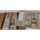 A large collection of approximately 620 microscope specimen slides, mostly early to mid-20th
