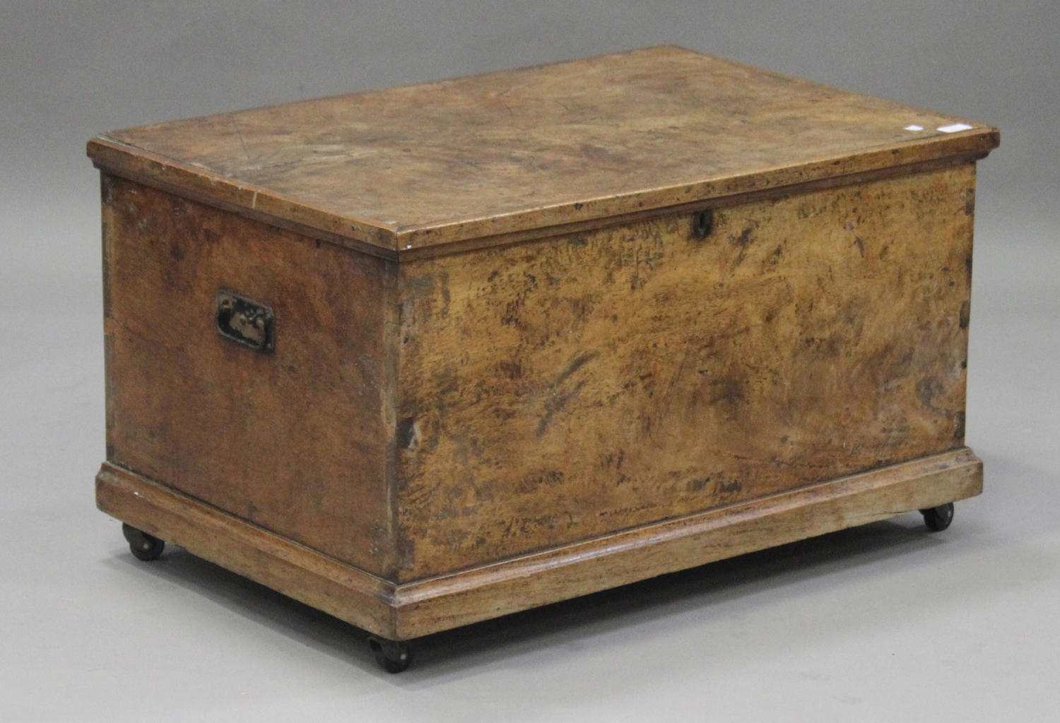 A 19th burr elm box, the hinged lid above wrought metal handles, on a plinth base, height 50cm,