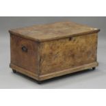 A 19th burr elm box, the hinged lid above wrought metal handles, on a plinth base, height 50cm,