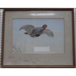 Frank Paton - Partridge in Flight, late 19th century watercolour, signed and dated 1896, 34cm x 48.