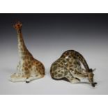 Two Lomonosov Russian porcelain models of giraffes, red printed marks to bases, tallest 31cm.Buyer’s