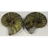 A pair of polished ammonite cross sections, width 15.4cm.Buyer’s Premium 29.4% (including VAT @ 20%)