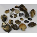A group of British Paleolithic flint hand axes and tools, some inscribed 'Coxton Rectory'.Buyer’s