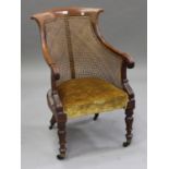 A William IV rosewood library armchair with cane back, the downswept arms carved with stiff leaf
