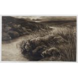 Herbert Dicksee - Peace (Lions on a Riverbank), etching on vellum, signed in pencil, published by