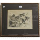 Winifred Austen - 'Tree-Sparrows', early 20th century monochrome etching, signed and titled in