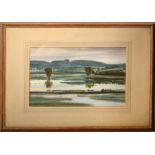 Howard Latham - Amberley Wild Brooks, signed, watercolour, framed and glazed, 9.5in x 15in.