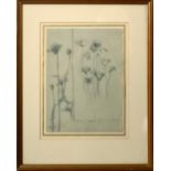 Archibald Thornburn - wild flowers, poppies and cornflowers, unsigned, pencil on blue paper,