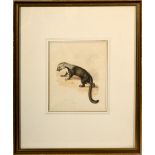 Hewitt - Otter, 19c watercolour, signed and titled, framed and glazed, 6.5in x 5in.