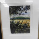 Rory J Browne - The Field, signed and dated 2000, watercolour, pen and ink, framed and glazed,