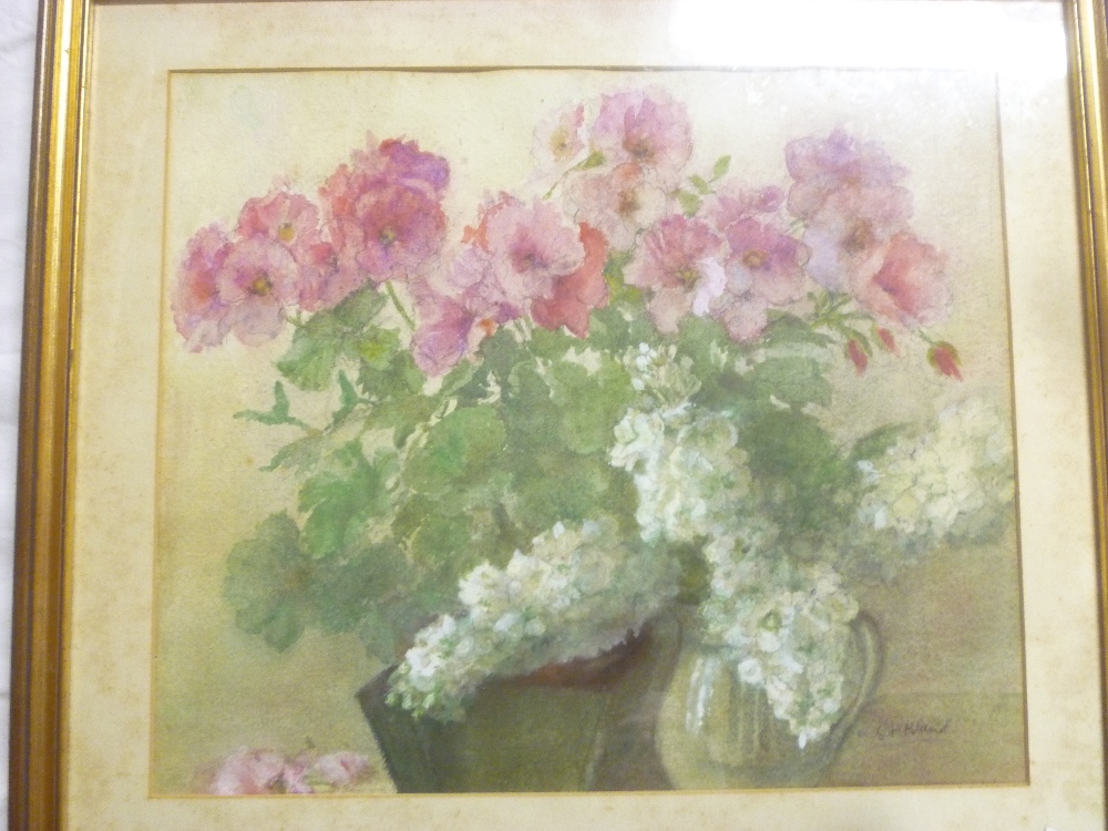 S**J**Bland - watercolour "The Pink Pelargonium" signed, labelled to verso,