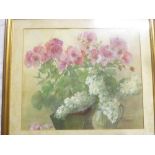 S**J**Bland - watercolour "The Pink Pelargonium" signed, labelled to verso,