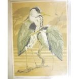 A coloured limited edition print of herons signed John Tennant, 1970,