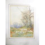 David Bates - watercolour "Evening, Forest of Dean", signed, inscribed to mount,