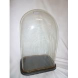 A Victorian glass rectangular display dome on ebonised wood stand,