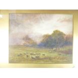 W**Ramsey - watercolour Rural scene with sheep grazing, signed,