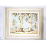 Thomas Boyd - oil on board "Eucalyptus Trees Australia", signed,